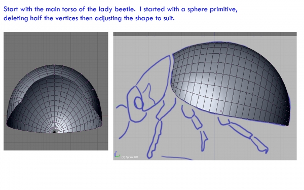 Creation of Ladybeetle: Step 2